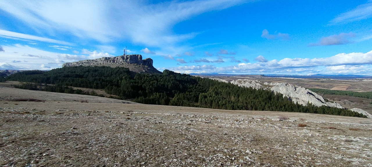 WhatsApp Image 2026-02-10 at 14.47.48 (5)